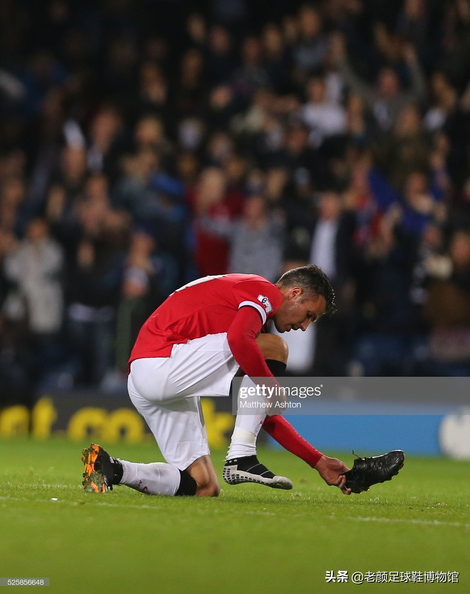 而主动放弃 而主动放弃